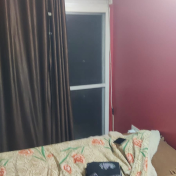 1 BHK Apartment For Sale in Hinjewadi