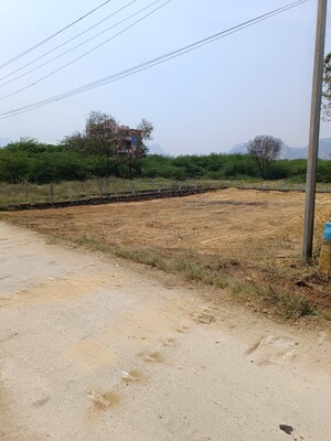 Plot Area in  Plot at Thondavada – for Sale