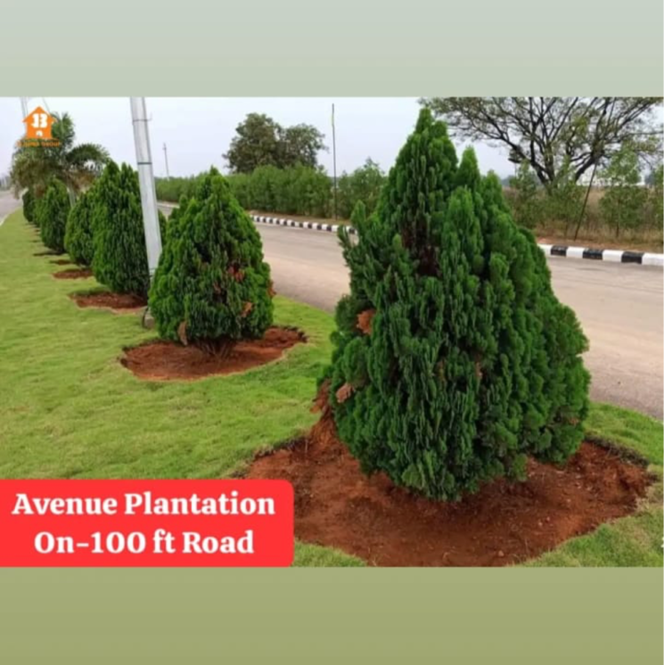 Garden, jb-nature-valley  267 Sq.Yd. Plot In Kothulapuram Hyderabad 9035348