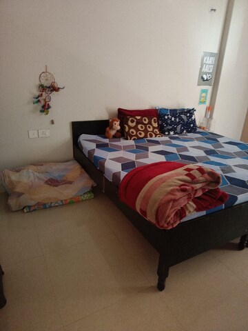2 BHK Apartment For Rent in Tata Eureka Park, Sector 150