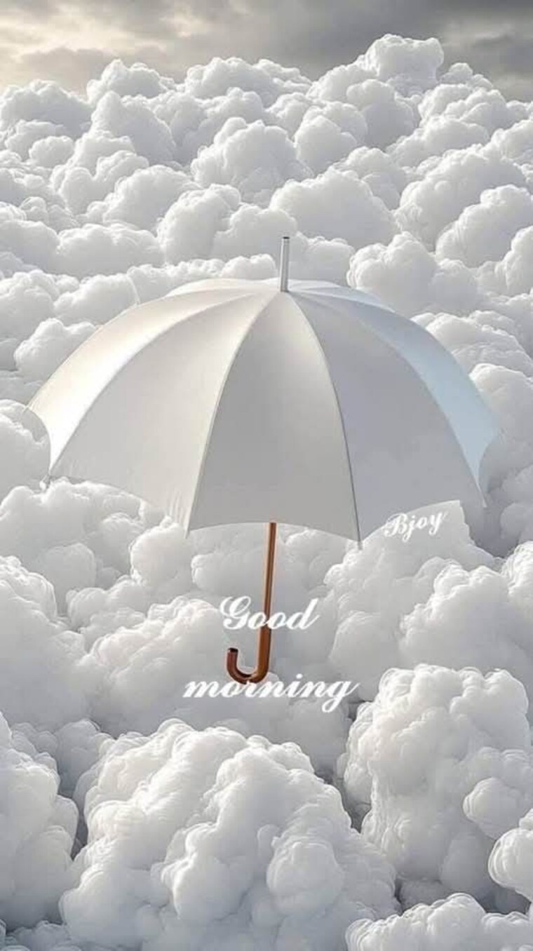 Other, adchini 1 Bedroom 400 Sq.Ft. Apartment In Adchini Delhi 9036110