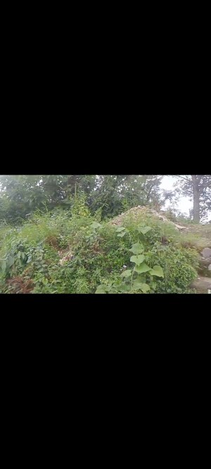  Land – Garden View at Bhimtal - for Sale