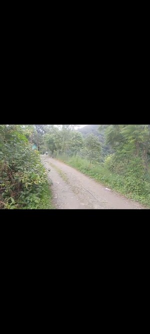  Land – Garden View at Bhimtal - for Sale