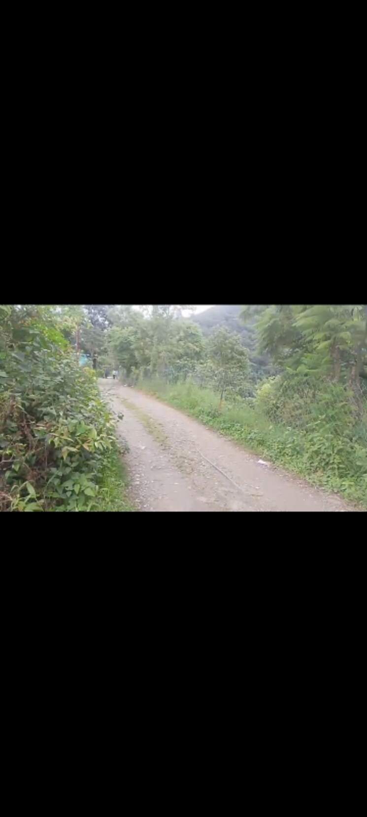 Garden, bhimtal Commercial Land 4200 Sq.Ft. In Bhimtal Nainital 9036077