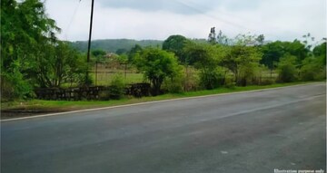  Plot For Sale in Mandrem