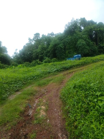  Plot – Garden View at Mandrem - for Sale