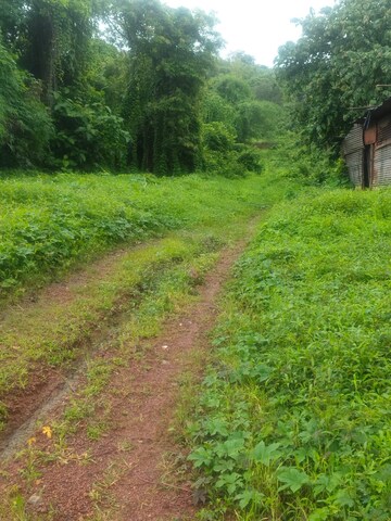  Plot – Garden View at Mandrem - for Sale