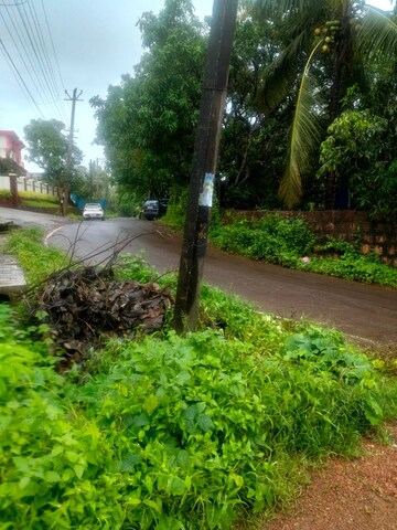  Plot – Garden View at Mandrem - for Sale