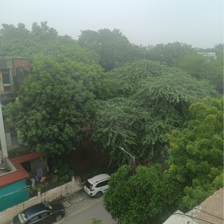 Garden, saket 2 Bedroom 1000 Sq.Ft. Builder Floor In Saket Delhi 9036487