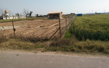 Land For Sale in Sector 66-A