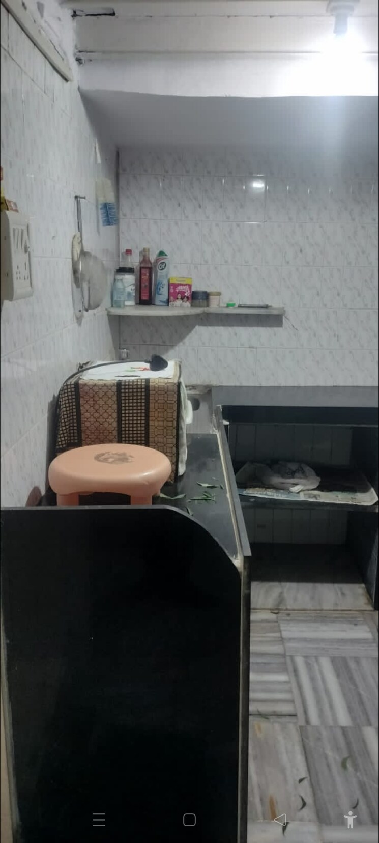 Bathroom, adarsh-nagar-society 1 RK 250 Sq.Ft. Apartment In Worli Mumbai 9036602
