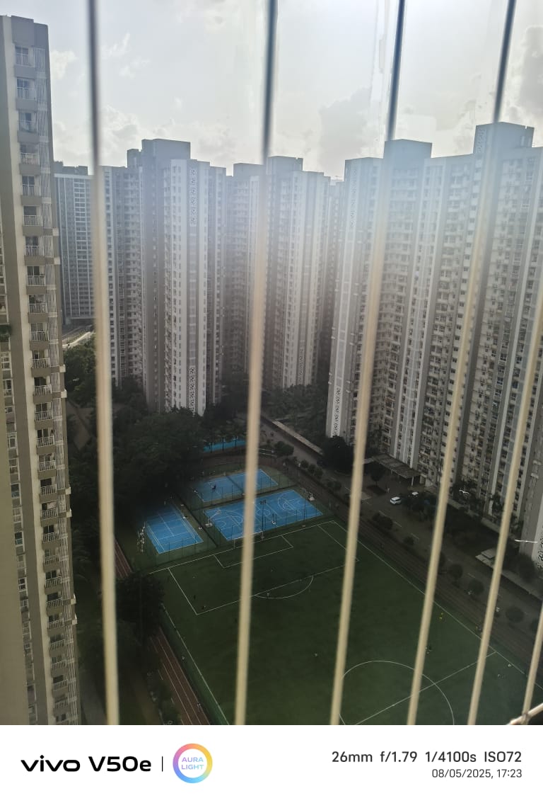 2 BHK Apartment For Rent in Lodha Amara