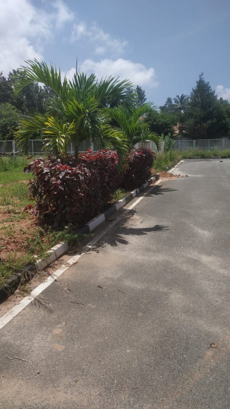 Garden, jr-habitat  1500 Sq.Yd. Plot In Chandapura Bangalore 9036694