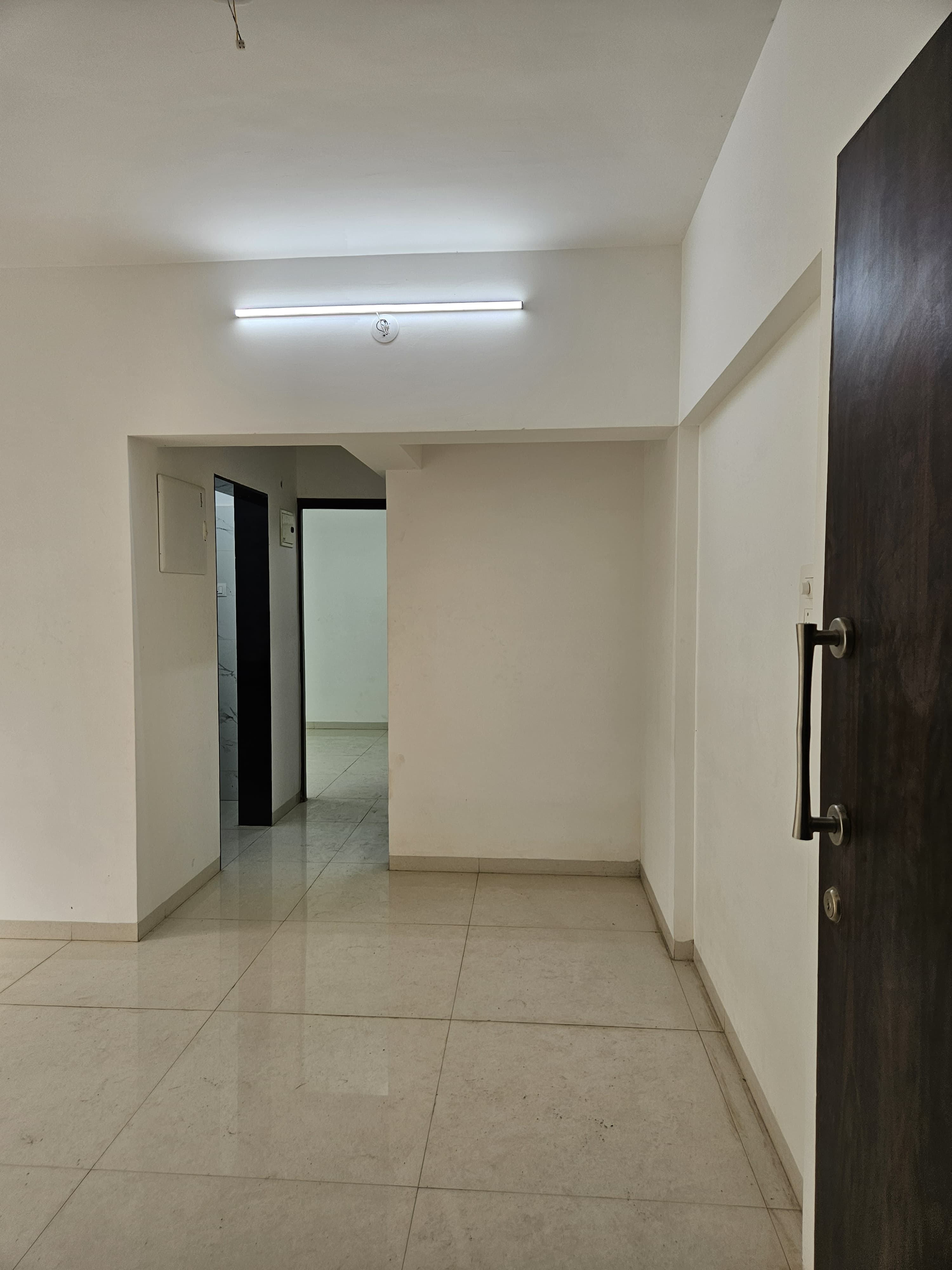 2 BHK Apartment For Sale in Dem Phoenix
