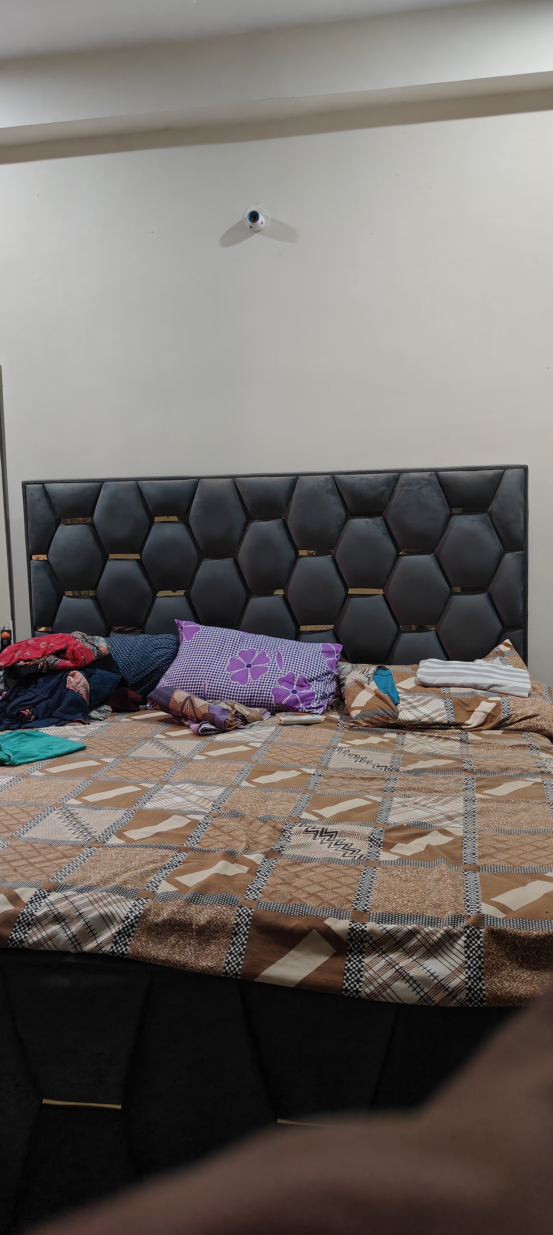 1 BHK Apartment For Rent in Ansal Palam Triangle