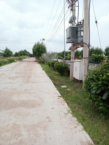  Plot – Exterior View View at Baran Road - for Sale