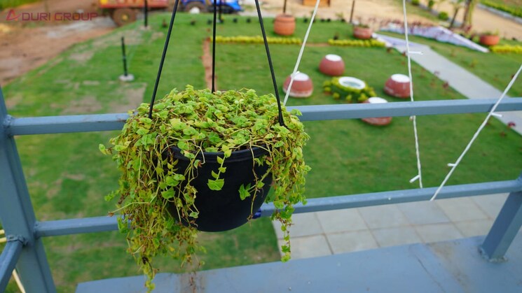 Exterior View, aduri-dream-valley Commercial Industrial Plot 242 Sq.Yd. In Vittyal Hyderabad 9036941