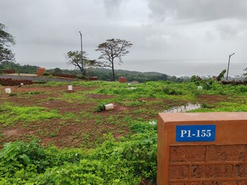  Plot For Sale in Dapoli