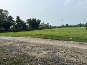 Plot Area in  Plot at Sherpur – for Sale