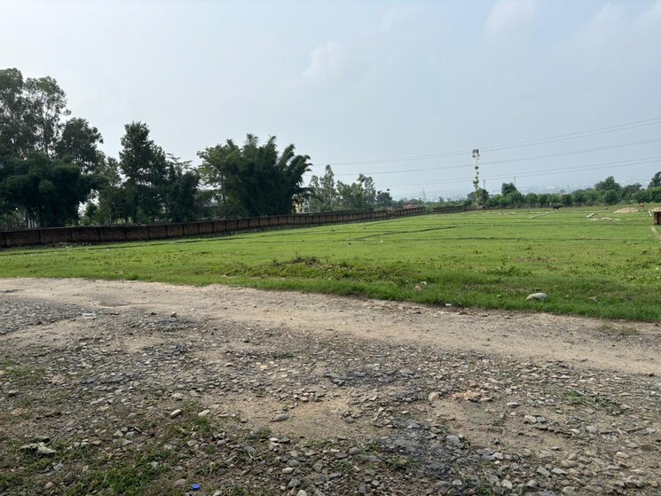 undefined, sherpur  299 Sq.Yd. Plot In Sherpur Dehradun 9037138