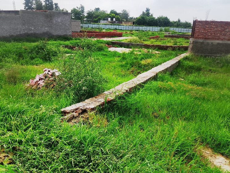 Garden, sector 108  70 Sq.Yd. Plot In Sector 108 Noida 9037212