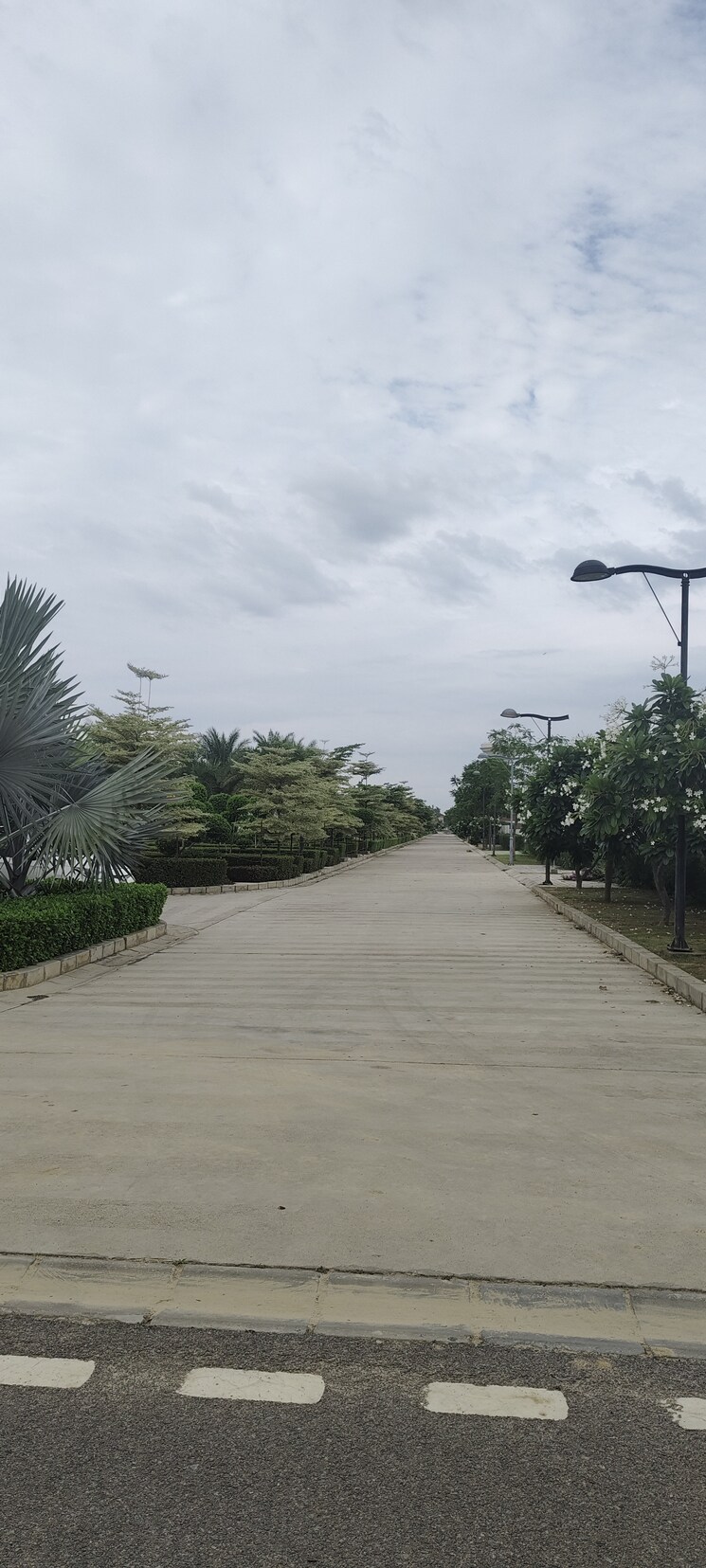 Exterior View, pintail-park-city  240 Sq.Yd. Plot In Mastemau Lucknow 9037432