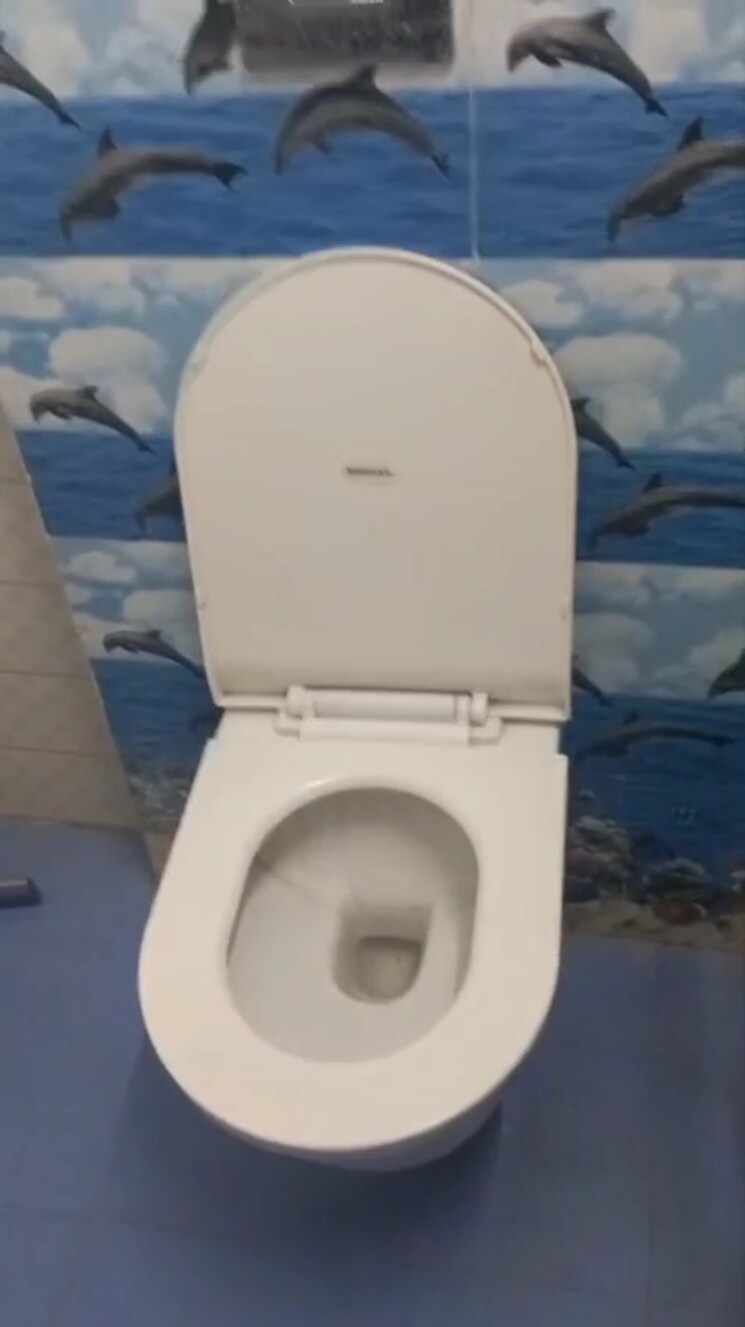 Bathroom, raja-garden 3 Bedroom 250 Sq.Yd. Villa In Sector 19 Faridabad 9037664