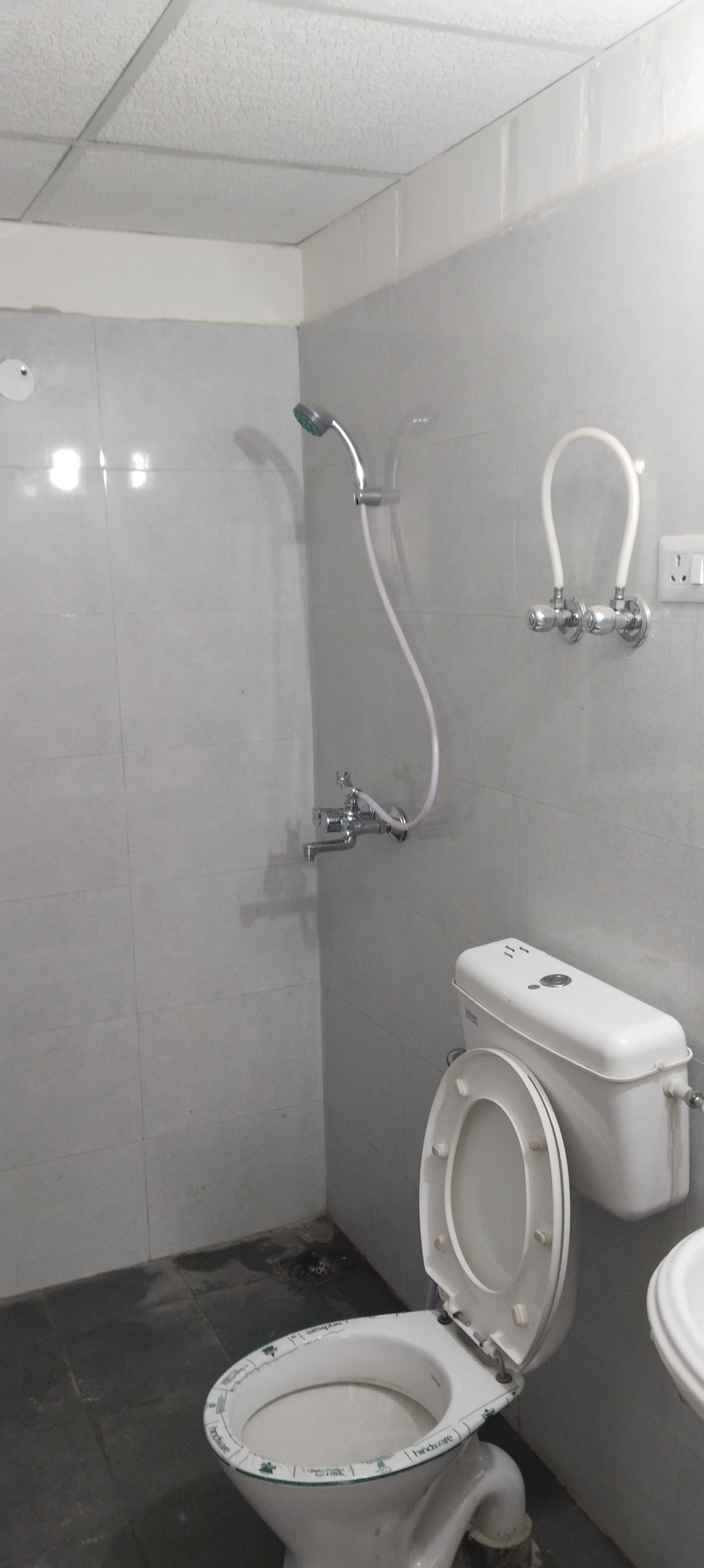 2 BHK Apartment For Rent in Signature Global Orchard Avenue