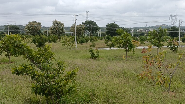 Garden, kadthal  165 Sq.Yd. Plot In Kadthal Hyderabad 9037587
