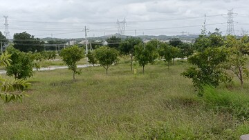 Plot Area in  Plot at Kadthal – for Sale