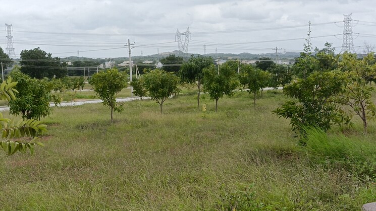 undefined, kadthal  165 Sq.Yd. Plot In Kadthal Hyderabad 9037587
