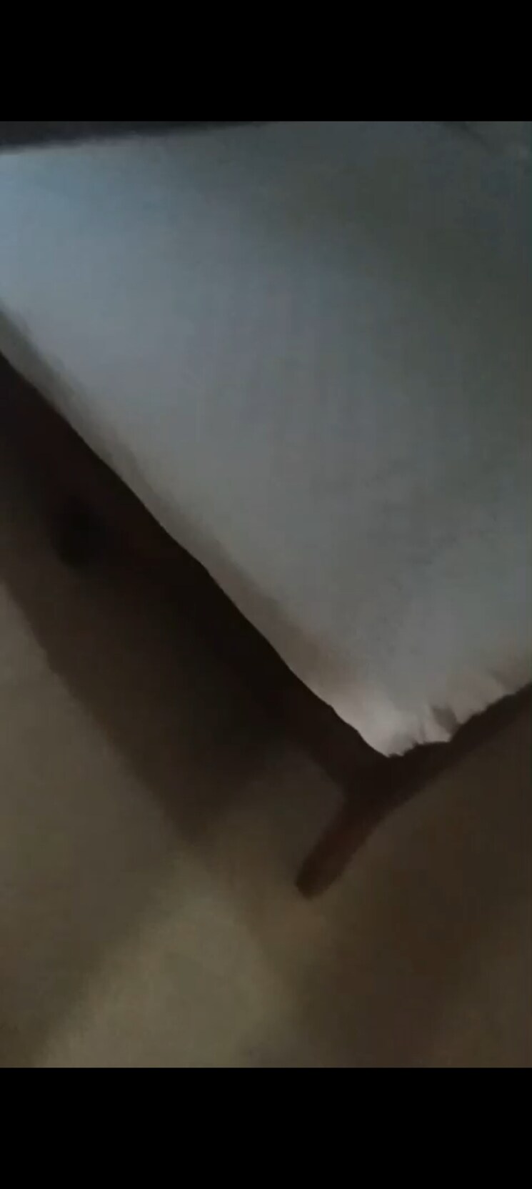 Room, marathon-monte-south 2.5 Bedroom 1200 Sq.Ft. Apartment In Byculla West Mumbai 9037737