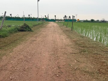 Plot Area in  Plot at Tech Zone Greater Noida – for Sale