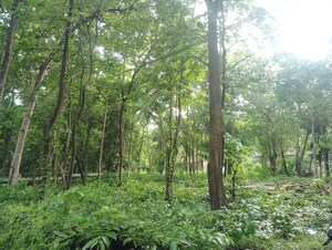  Plot – Garden View at Loutolim - for Sale