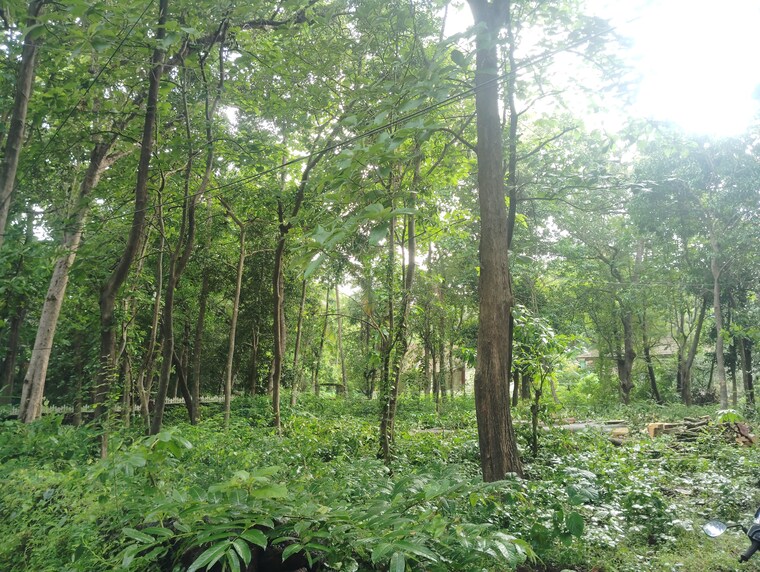 Garden, loutolim  320 Sq.Yd. Plot In Loutolim Goa 9037880