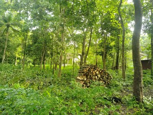 Plot Area in  Plot at Loutolim – for Sale