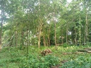  Plot – Garden View at Loutolim - for Sale