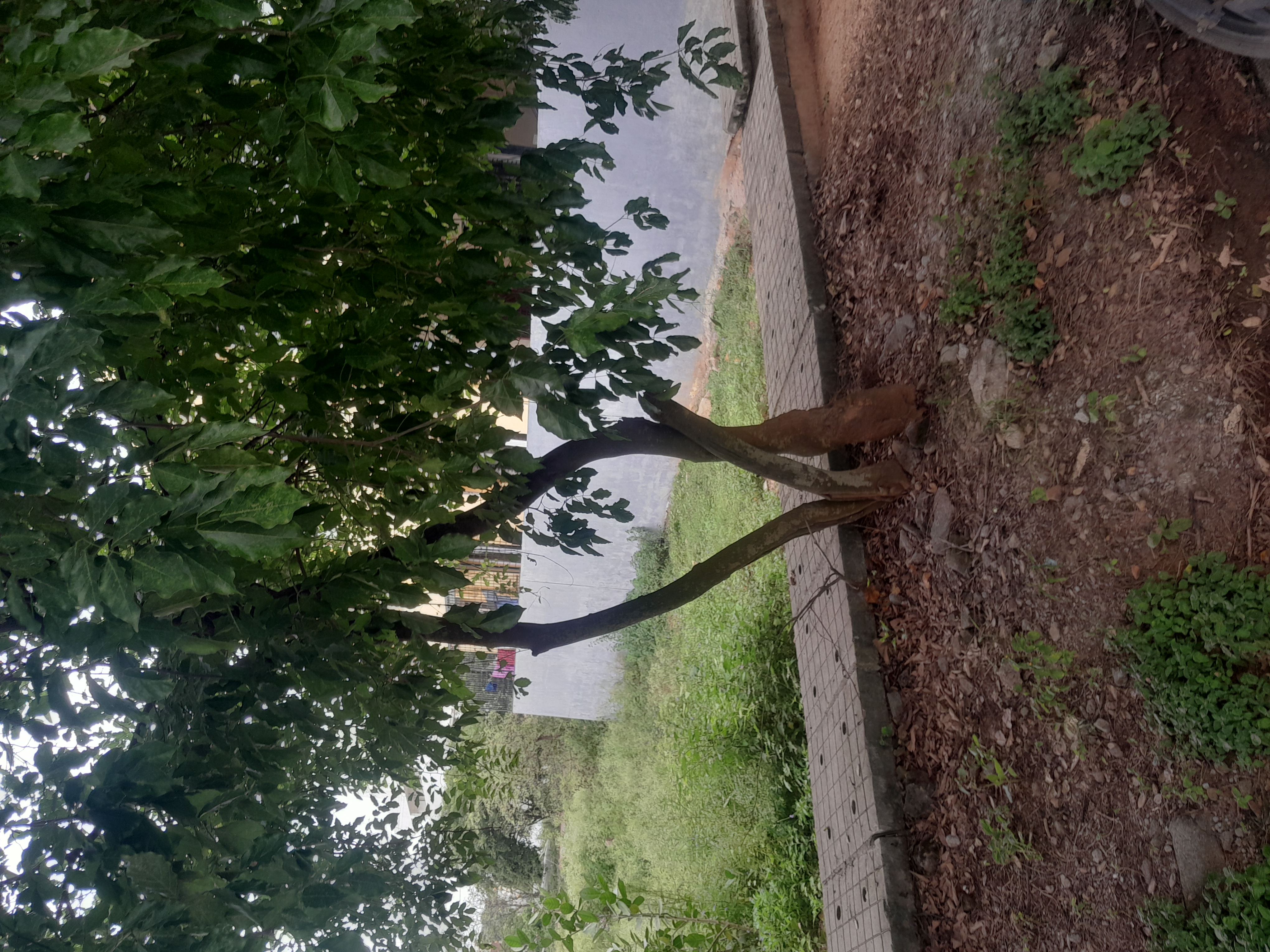 Plot For Sale in Banashankari 6th Stage