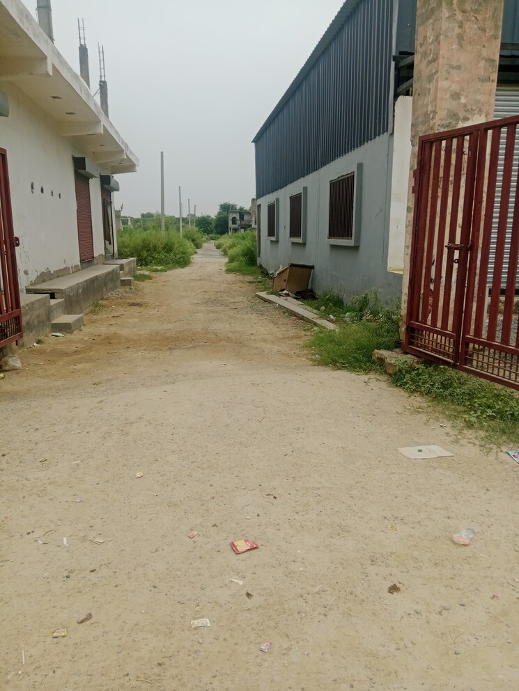 Exterior View, tilapta  100 Sq.Yd. Plot In Tilapta Greater Noida 9037942