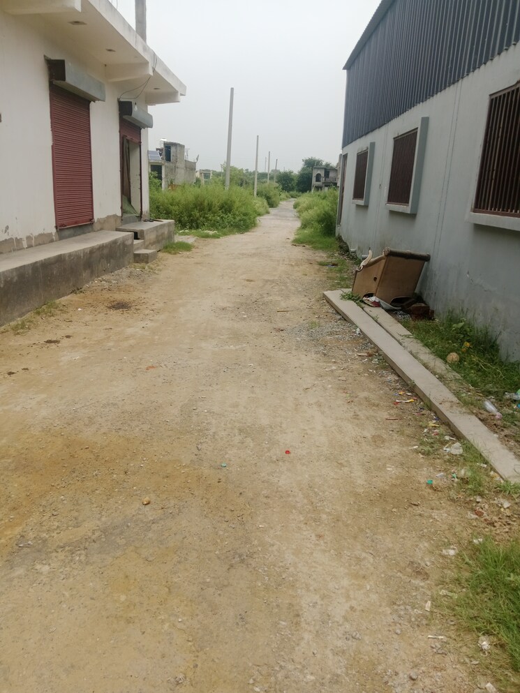 Exterior View, tilapta  100 Sq.Yd. Plot In Tilapta Greater Noida 9037942