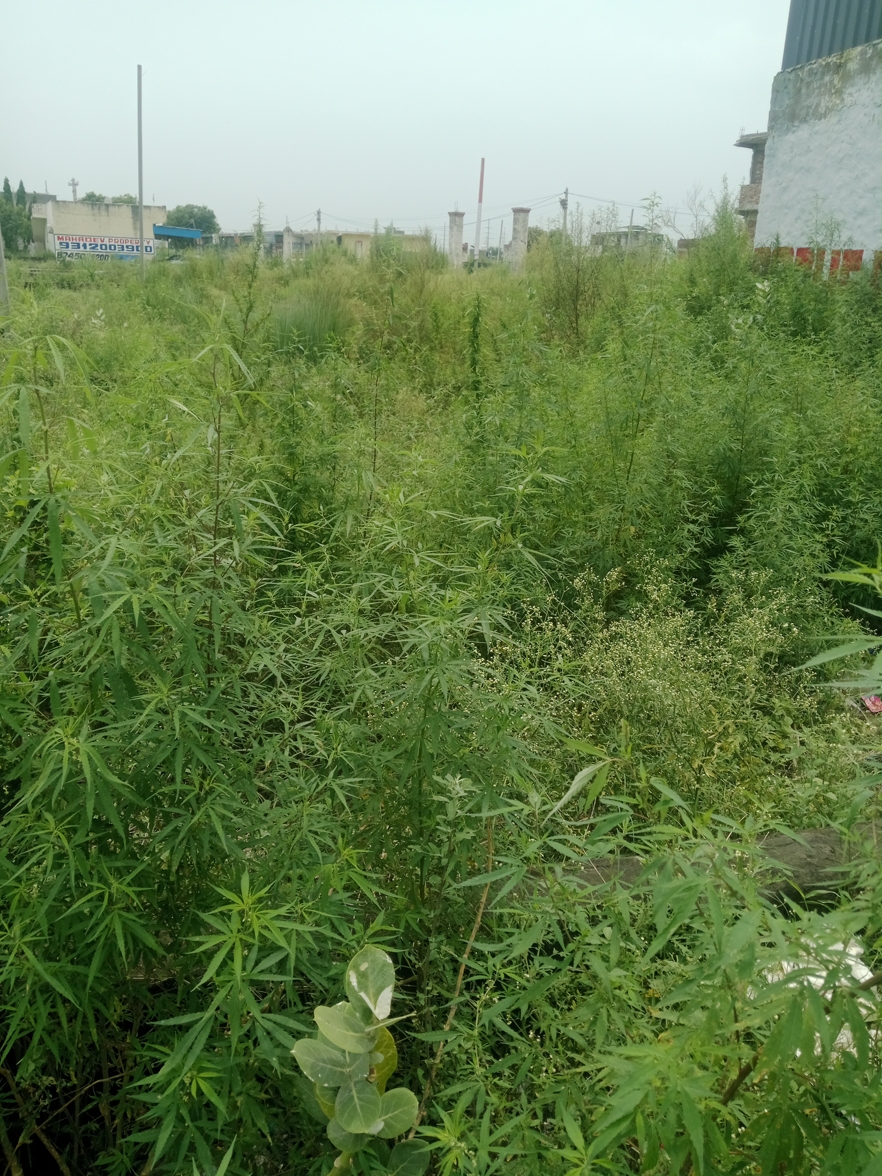 Plot For Sale in Victory Enclave 