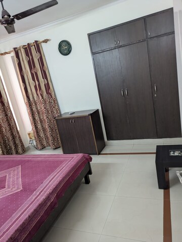 Furnished Amenities in 3 BHK Apartment at Orchid Petals, Sector 49 – for Rent