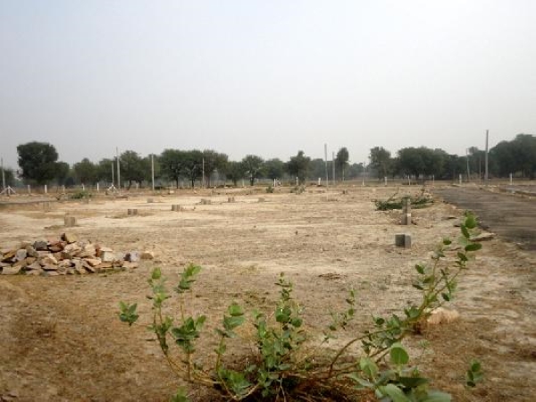 Plot For Sale in Royal City