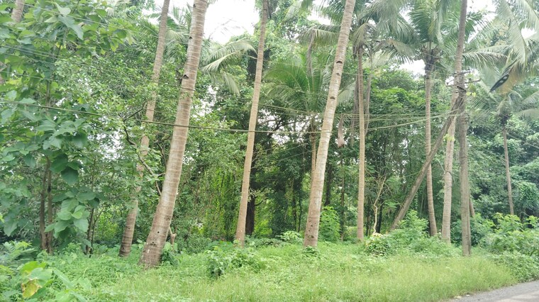Garden, chandor  261 Sq.Mt. Plot In Chandor Goa 9038109