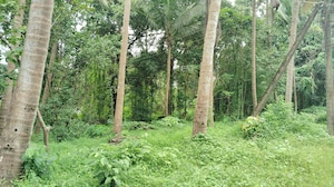  Plot – Garden View at Chandor - for Sale