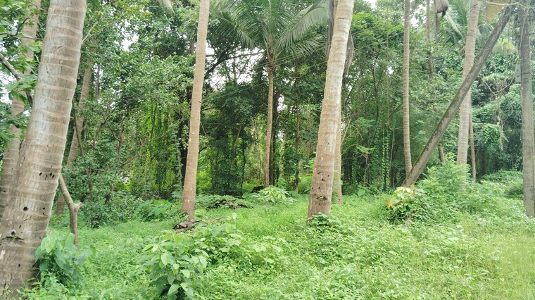 Garden, chandor  261 Sq.Mt. Plot In Chandor Goa 9038109