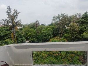 Plot Area in 3 BHK Builder Floor at Malviya Nagar – for Sale