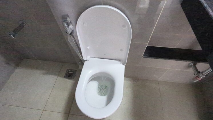 Bathroom, shapoorji-pallonji-sensorium 2 Bedroom 750 Sq.Ft. Apartment In Hinjewadi Pune 9038157