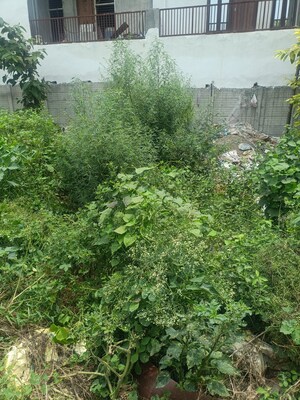  Plot – Garden View at Radha Krishna Residency, Tilapta - for Sale
