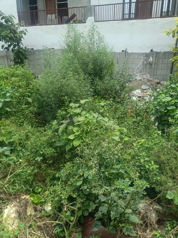 Garden, radha-krishna-residency  95 Sq.Yd. Plot In Tilapta Greater Noida 9038211